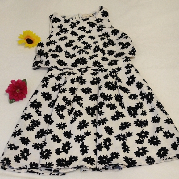 Everly Dresses & Skirts - Everly. Charming Black and White Floral Women's Dress